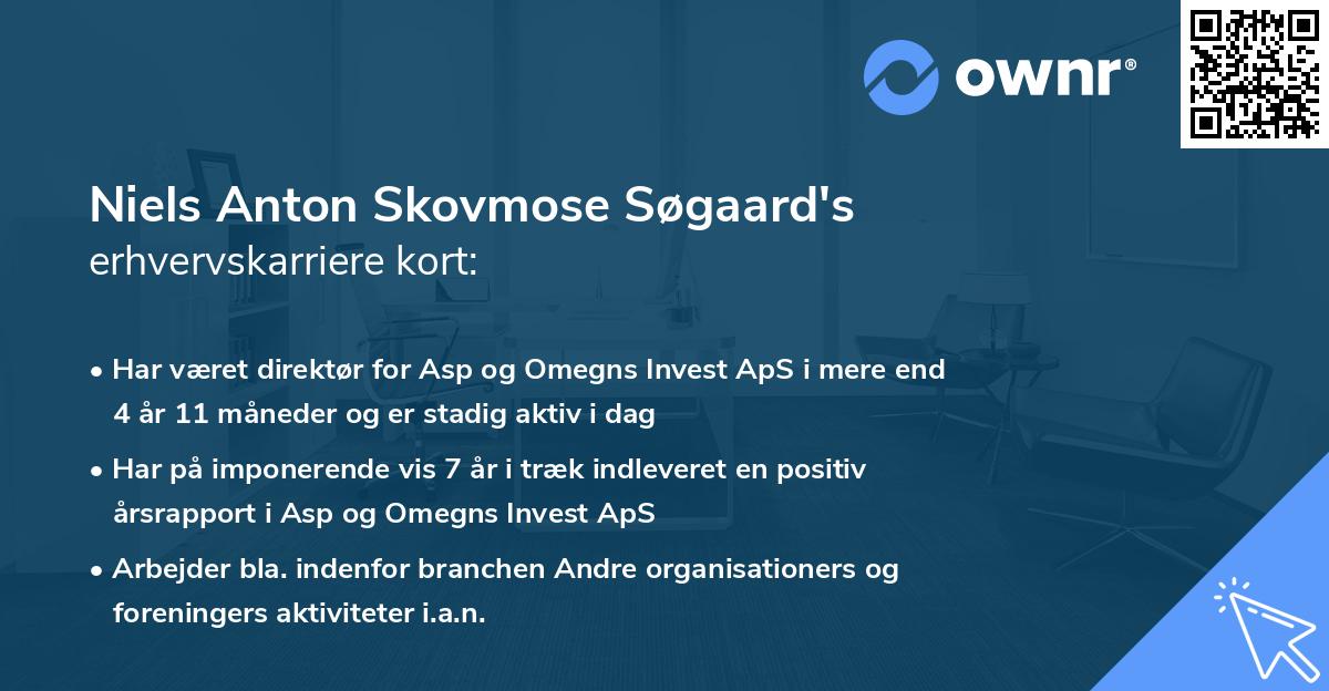 Niels Anton Skovmose Søgaard's erhvervskarriere kort