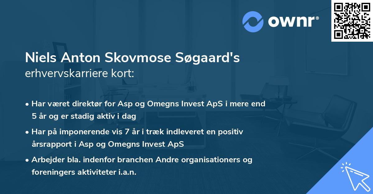 Niels Anton Skovmose Søgaard's erhvervskarriere kort