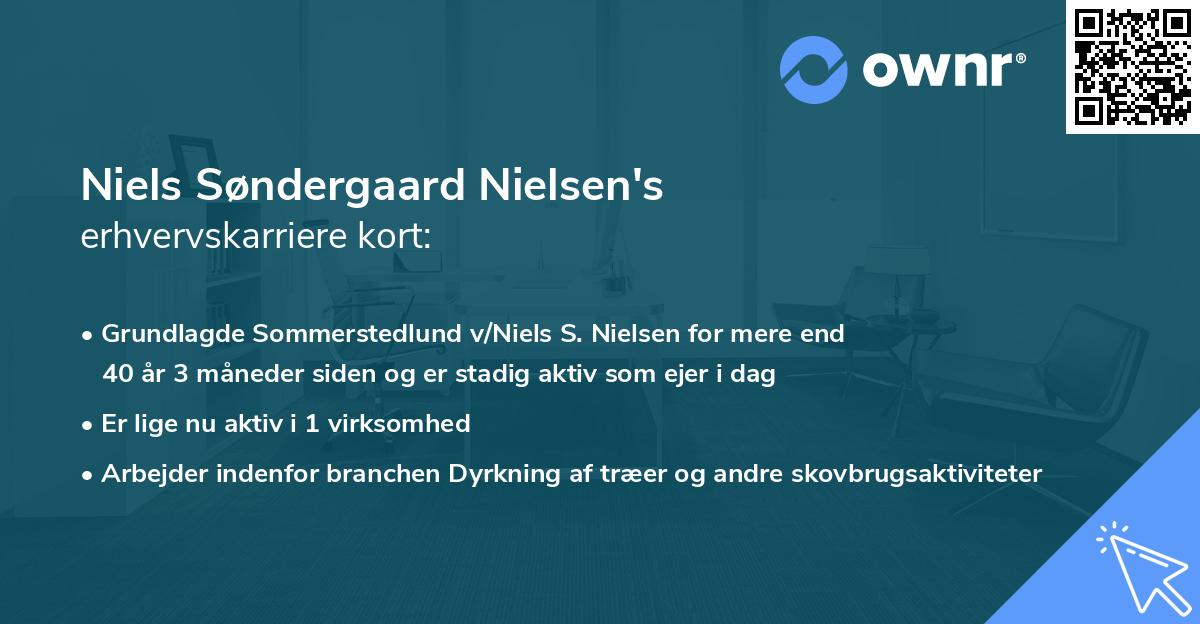 Niels Søndergaard Nielsen's erhvervskarriere kort