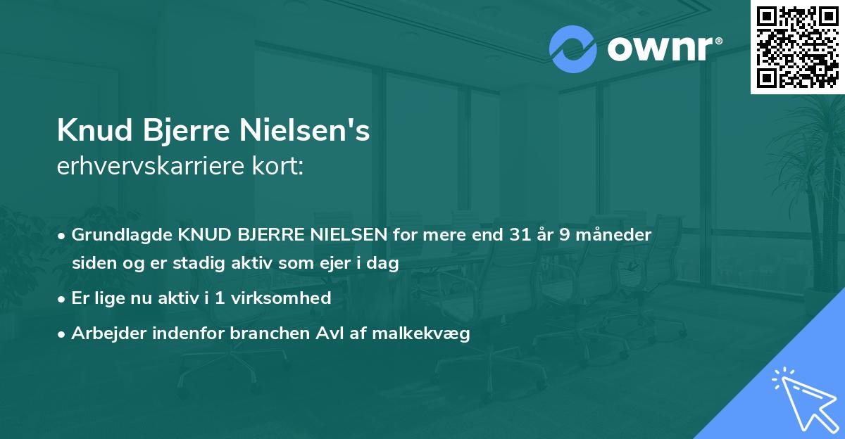 Knud Bjerre Nielsen's erhvervskarriere kort