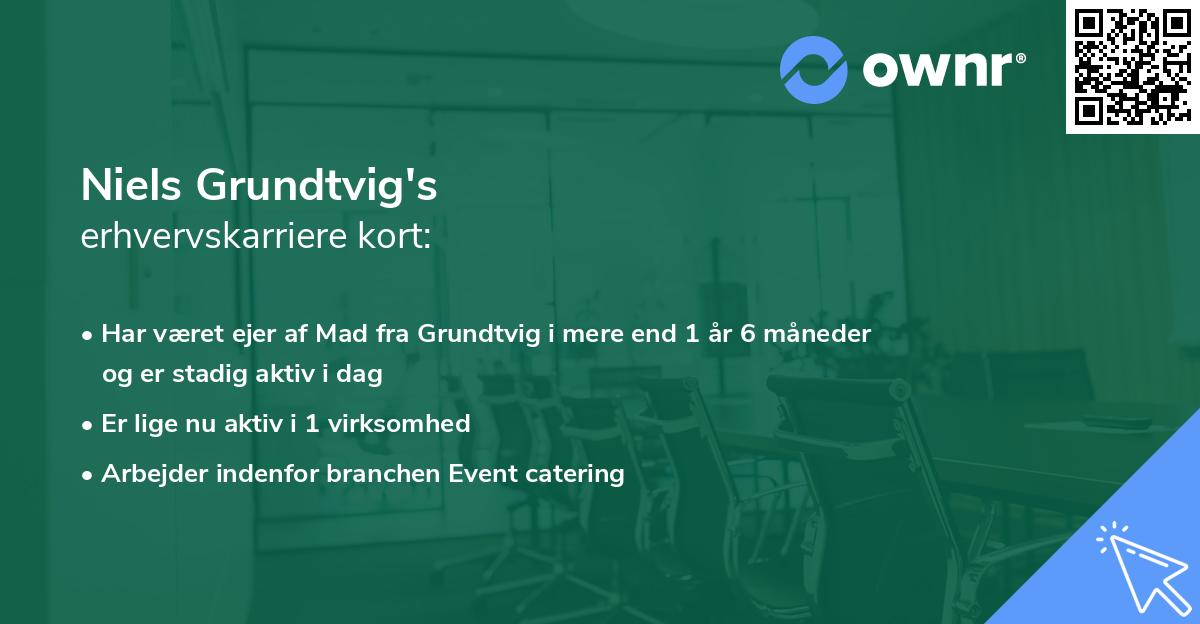 Niels Grundtvig's erhvervskarriere kort