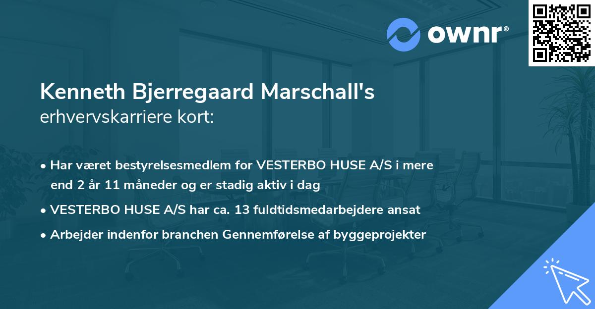 Kenneth Bjerregaard Marschall's erhvervskarriere kort