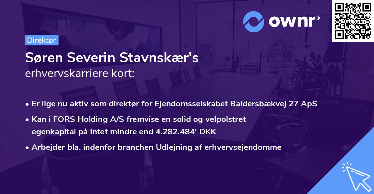 Søren Severin Stavnskær's erhvervskarriere kort