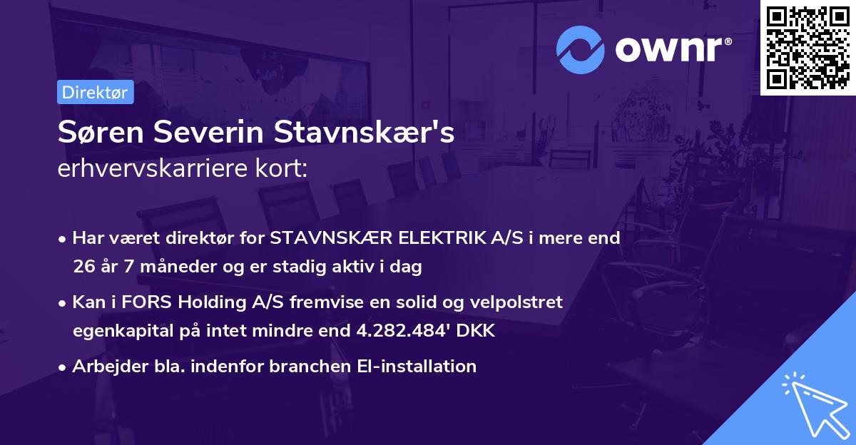 Søren Severin Stavnskær's erhvervskarriere kort