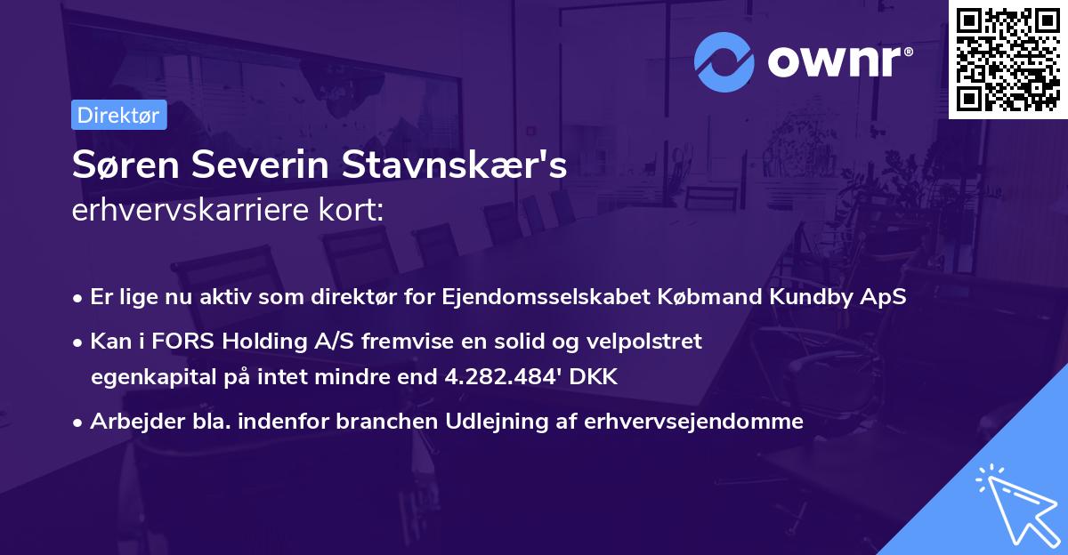 Søren Severin Stavnskær's erhvervskarriere kort