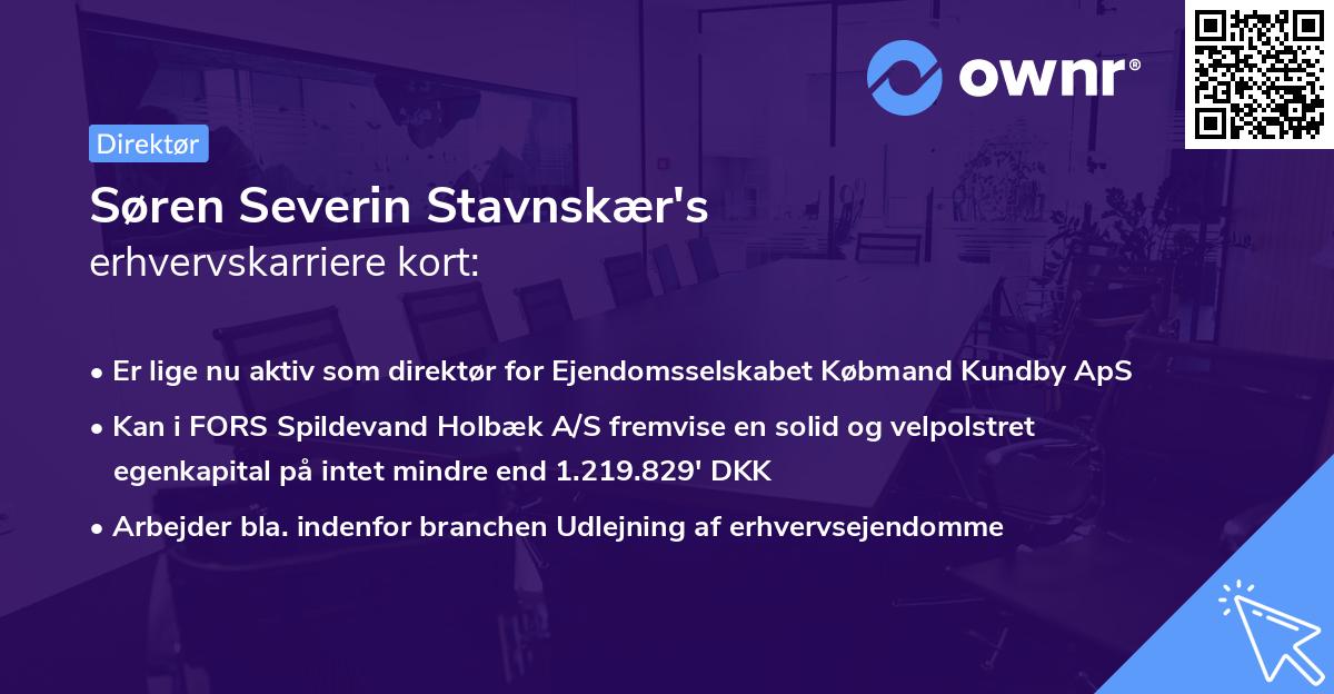 Søren Severin Stavnskær's erhvervskarriere kort