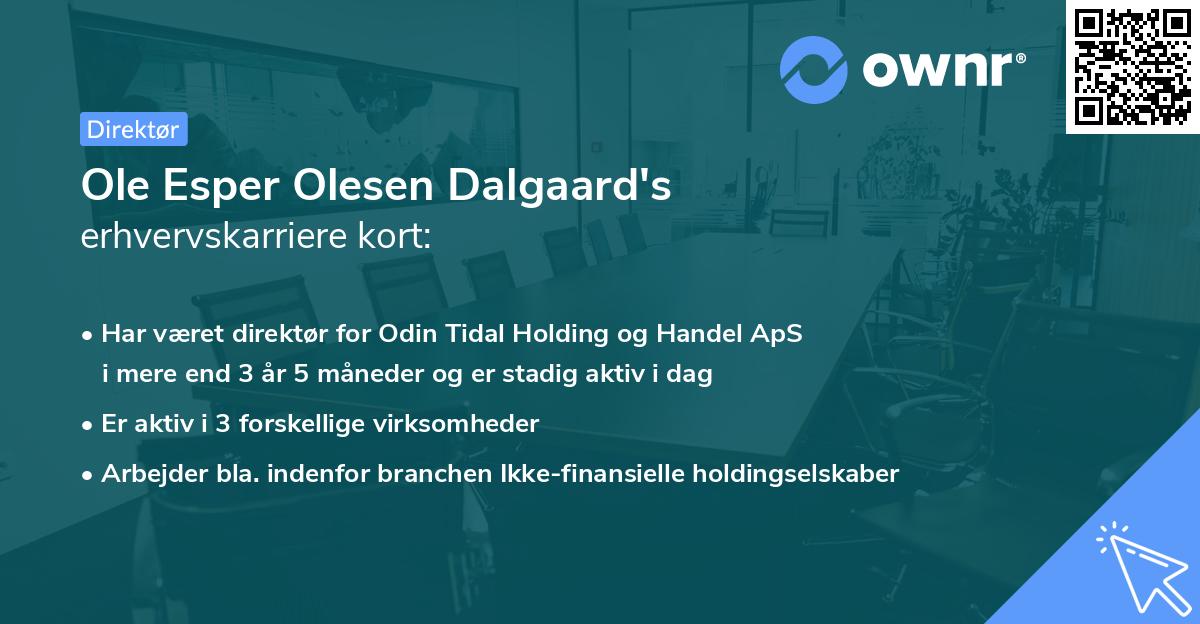 Ole Esper Olesen Dalgaard's erhvervskarriere kort
