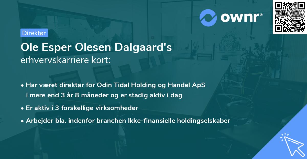Ole Esper Olesen Dalgaard's erhvervskarriere kort