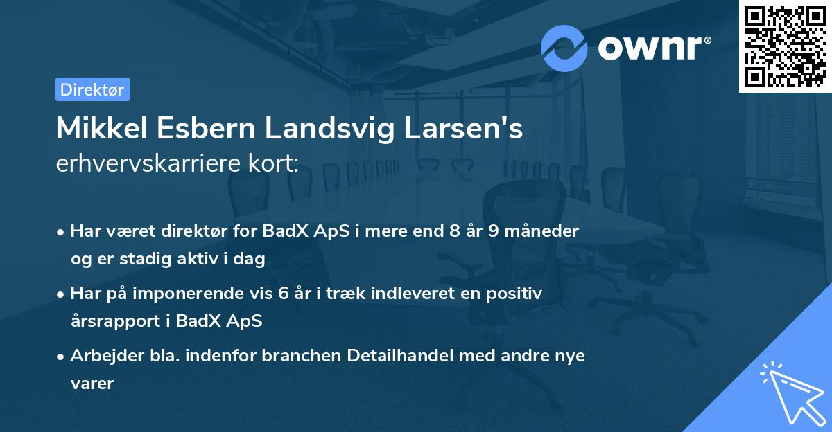 Mikkel Esbern Landsvig Larsen's erhvervskarriere kort