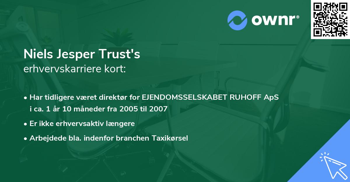 Niels Jesper Trust's erhvervskarriere kort