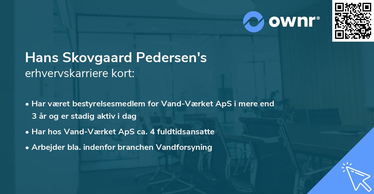 Hans Skovgaard Pedersen's erhvervskarriere kort
