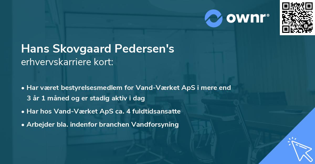 Hans Skovgaard Pedersen's erhvervskarriere kort