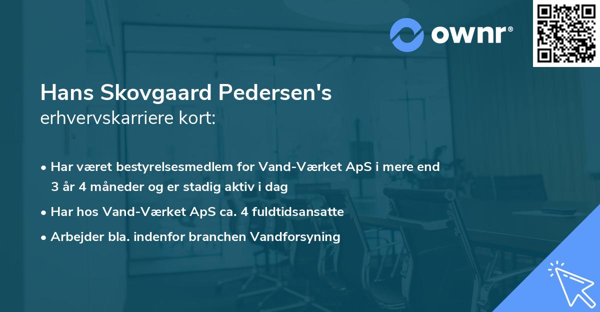 Hans Skovgaard Pedersen's erhvervskarriere kort