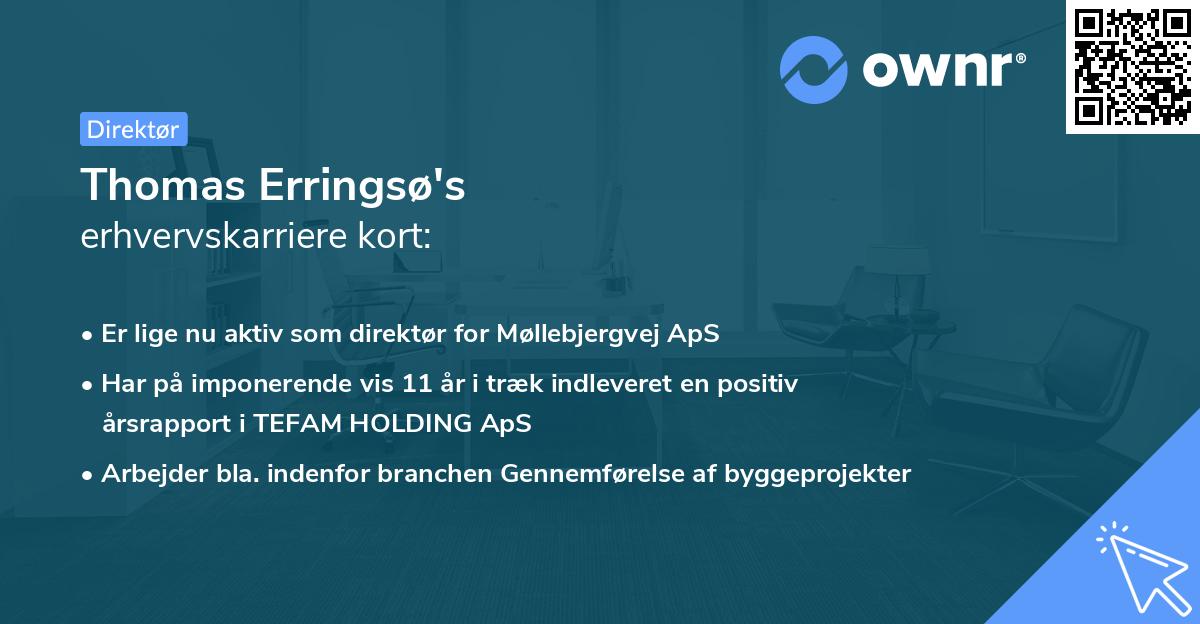 Thomas Erringsø's erhvervskarriere kort