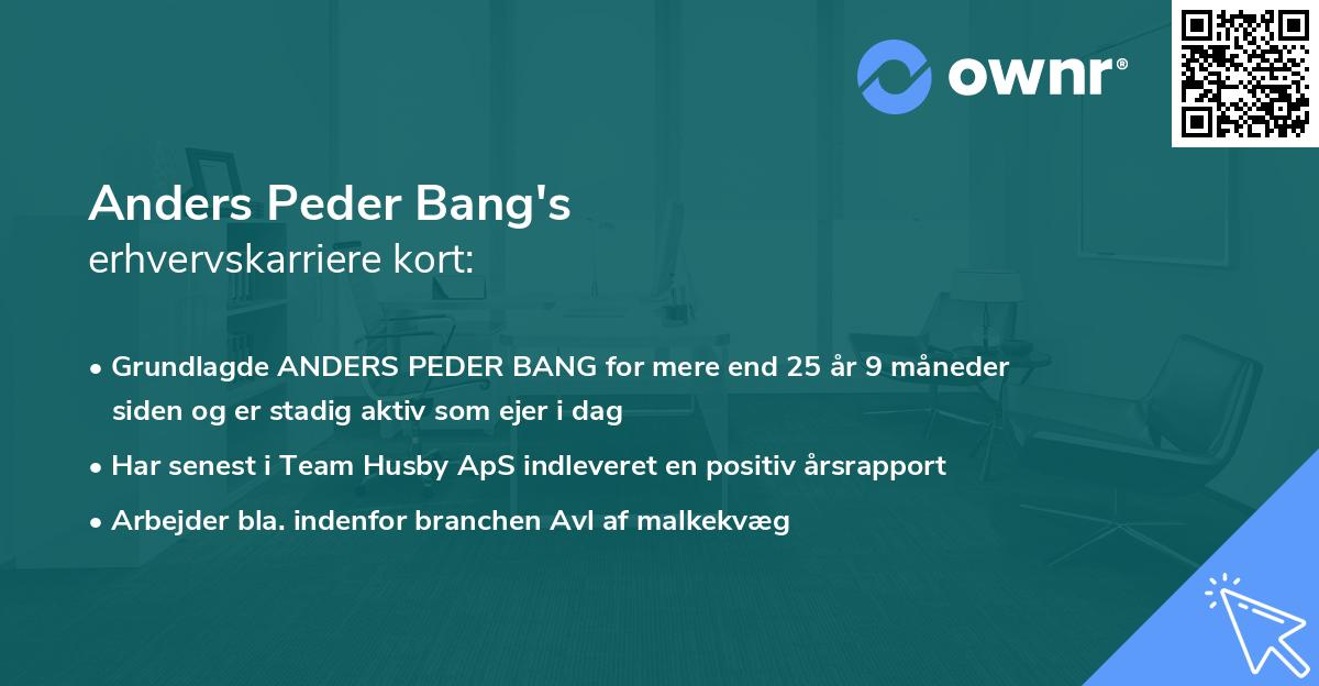 Anders Peder Bang's erhvervskarriere kort