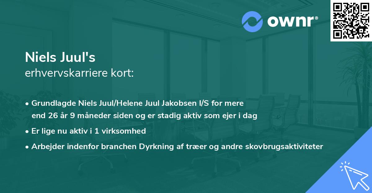 Niels Juul's erhvervskarriere kort