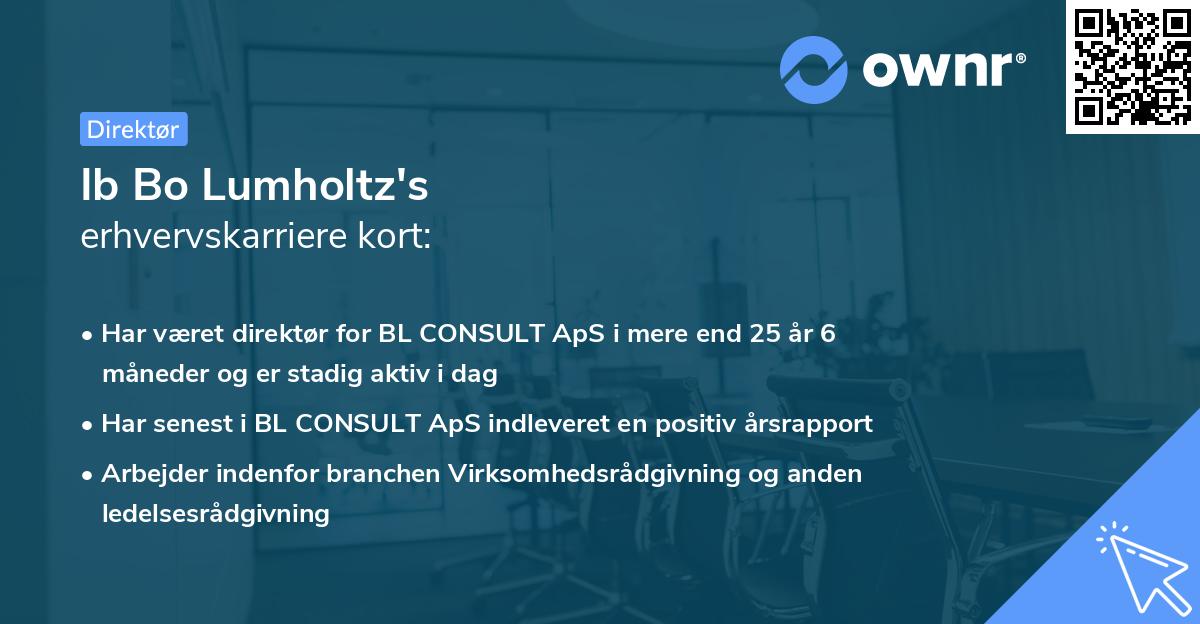 Ib Bo Lumholtz's erhvervskarriere kort
