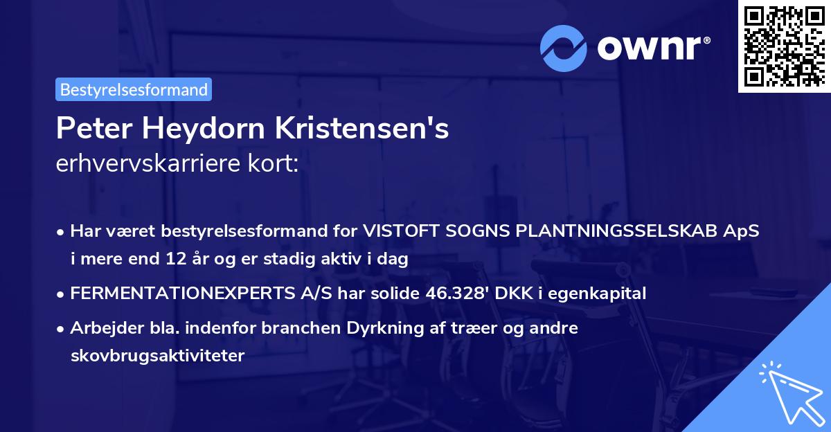 Peter Heydorn Kristensen's erhvervskarriere kort