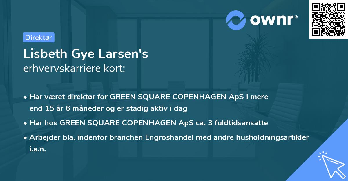 Lisbeth Gye Larsen's erhvervskarriere kort