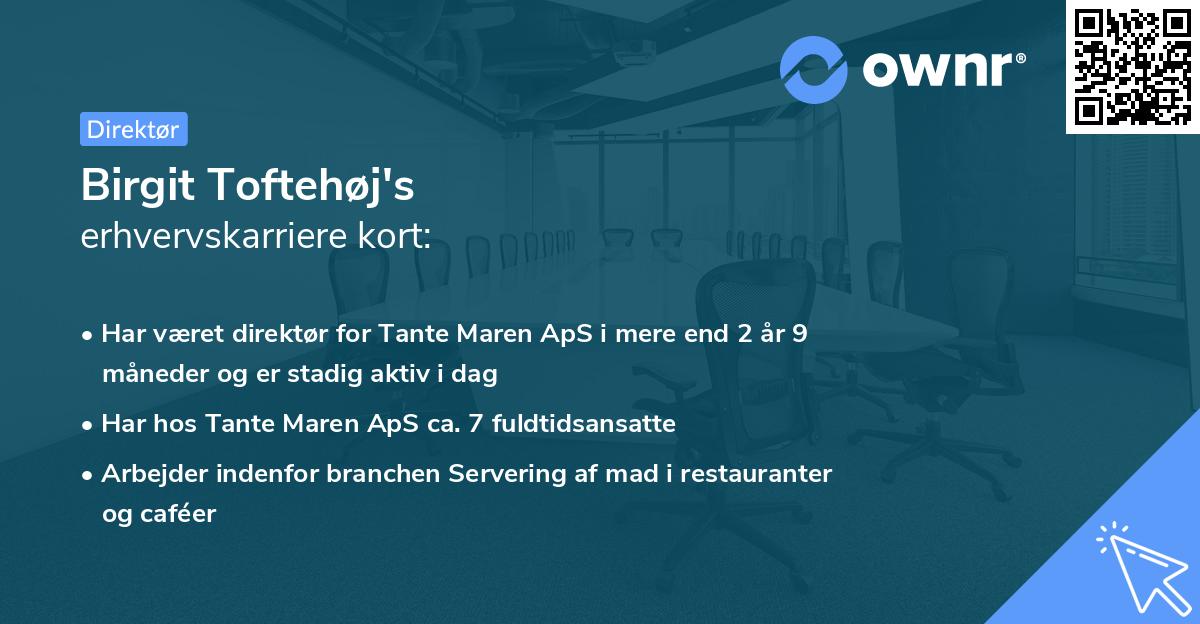 Birgit Toftehøj's erhvervskarriere kort