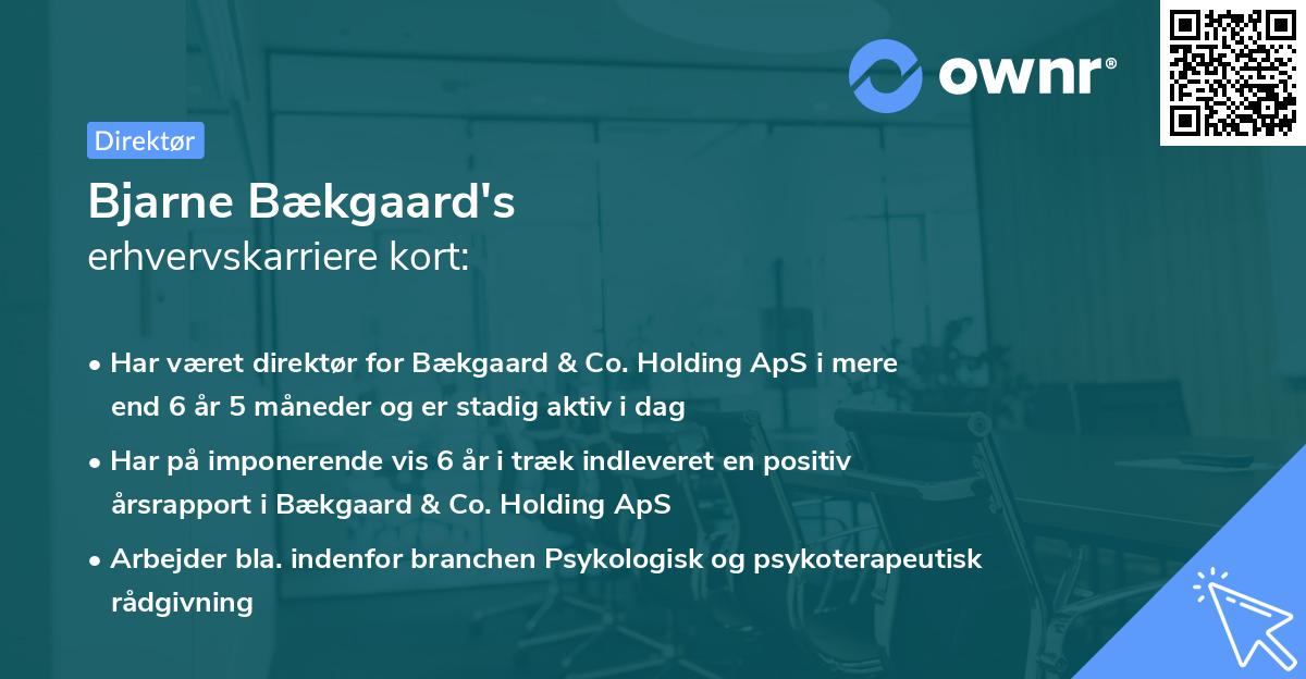 Bjarne Bækgaard's erhvervskarriere kort