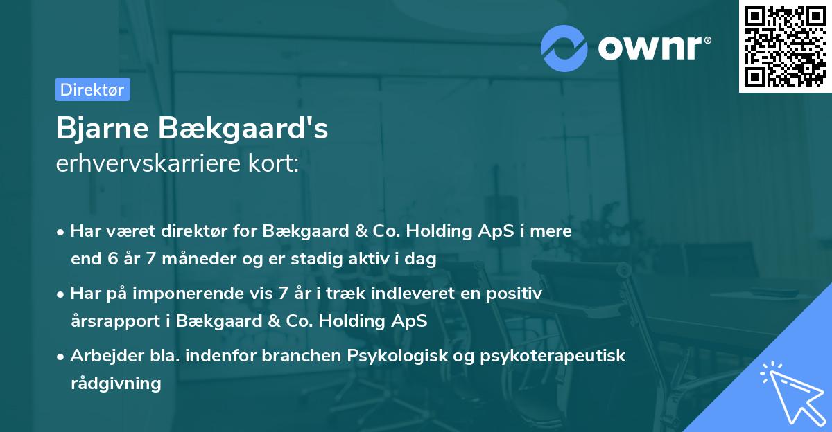 Bjarne Bækgaard's erhvervskarriere kort