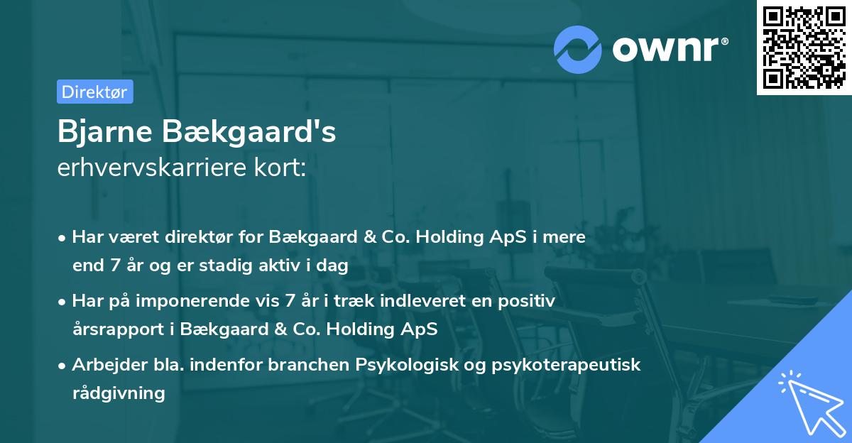 Bjarne Bækgaard's erhvervskarriere kort
