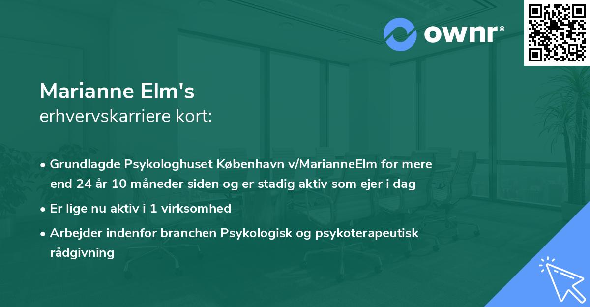 Marianne Elm's erhvervskarriere kort