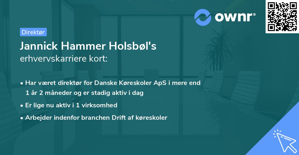 Jannick Hammer Holsbøl's erhvervskarriere kort