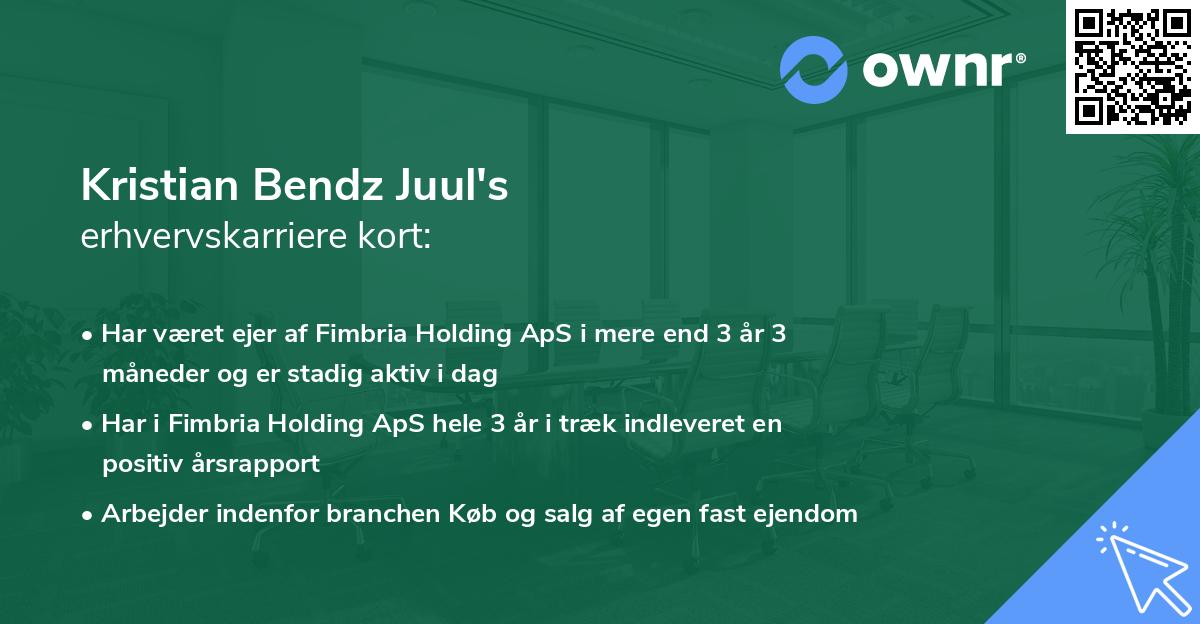 Kristian Bendz Juul's erhvervskarriere kort