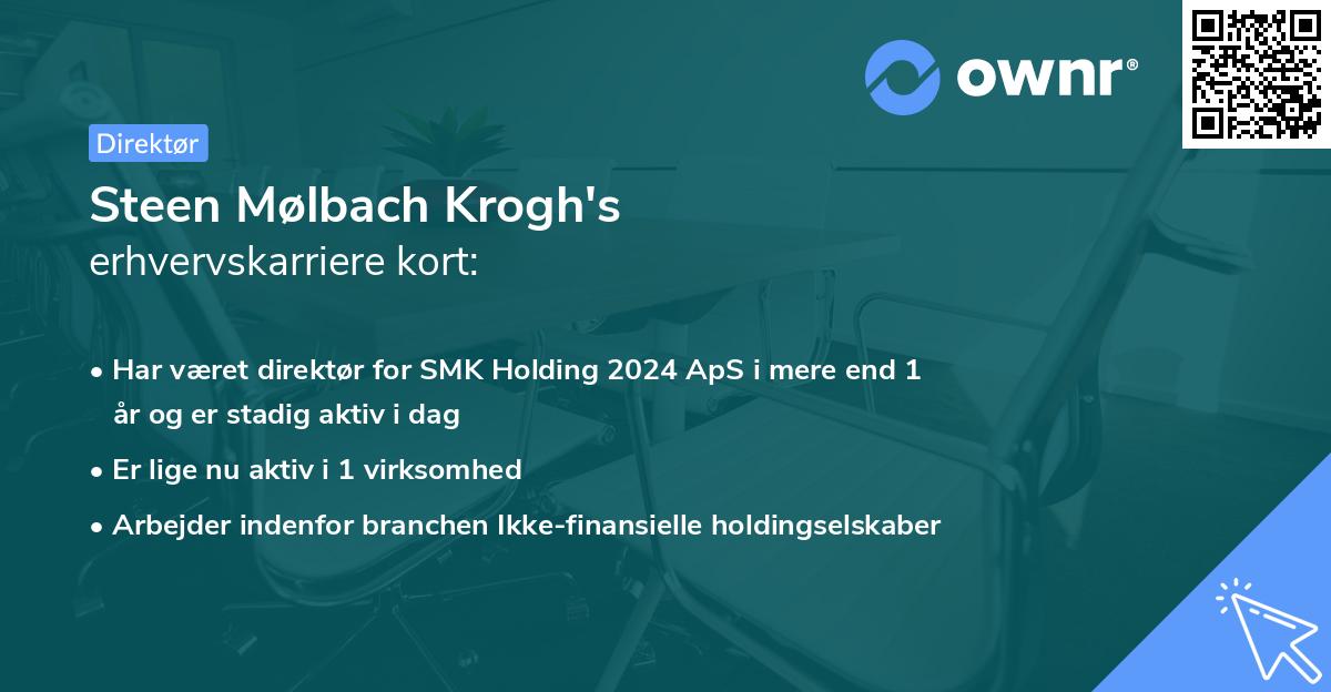 Steen Mølbach Krogh's erhvervskarriere kort