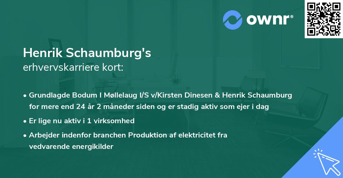 Henrik Schaumburg's erhvervskarriere kort