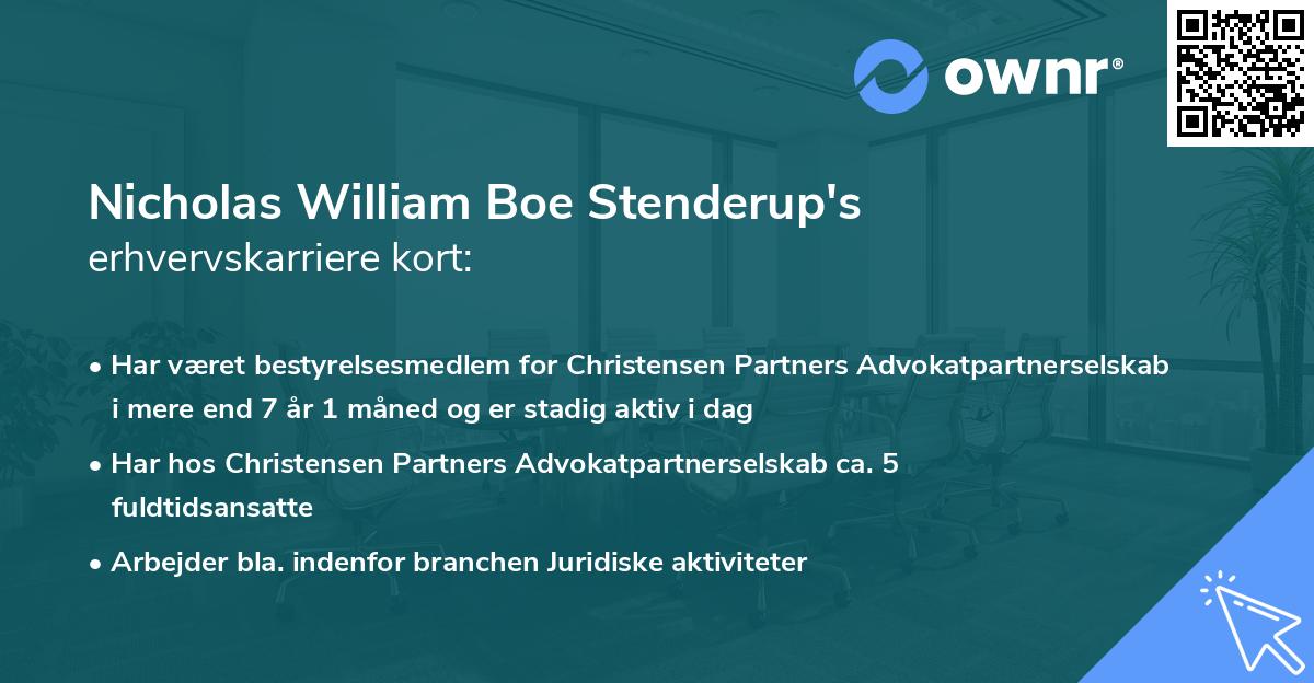 Nicholas William Boe Stenderup's erhvervskarriere kort