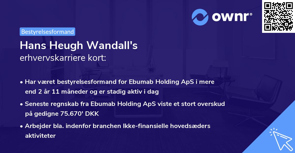 Hans Heugh Wandall's erhvervskarriere kort