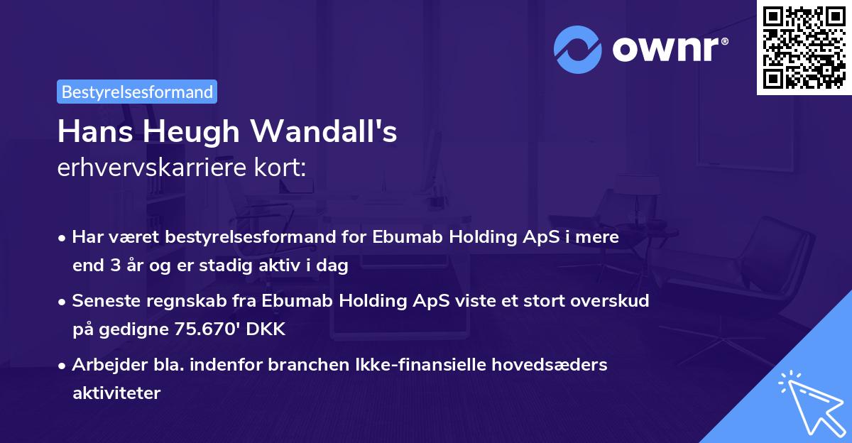 Hans Heugh Wandall's erhvervskarriere kort