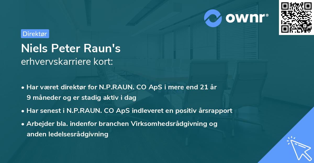 Niels Peter Raun's erhvervskarriere kort