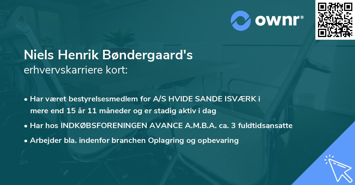 Niels Henrik Bøndergaard's erhvervskarriere kort