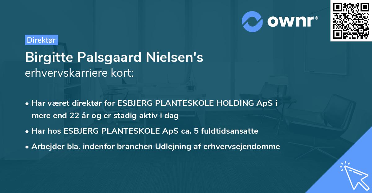 Birgitte Palsgaard Nielsen's erhvervskarriere kort