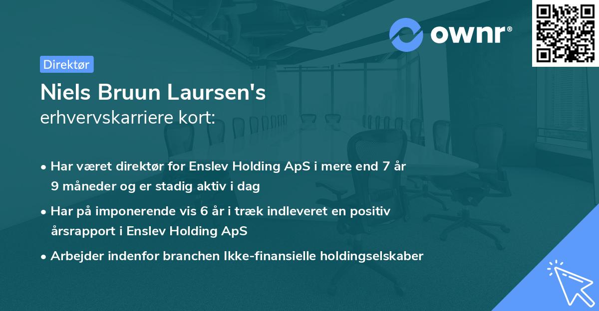 Niels Bruun Laursen's erhvervskarriere kort