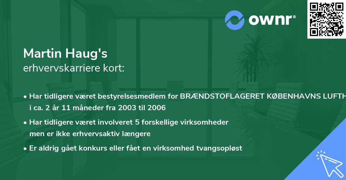 Martin Haug's erhvervskarriere kort