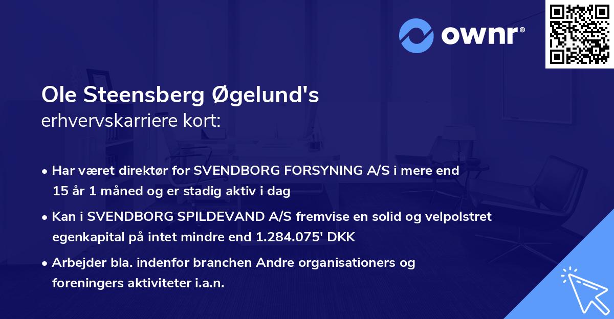 Ole Steensberg Øgelund's erhvervskarriere kort