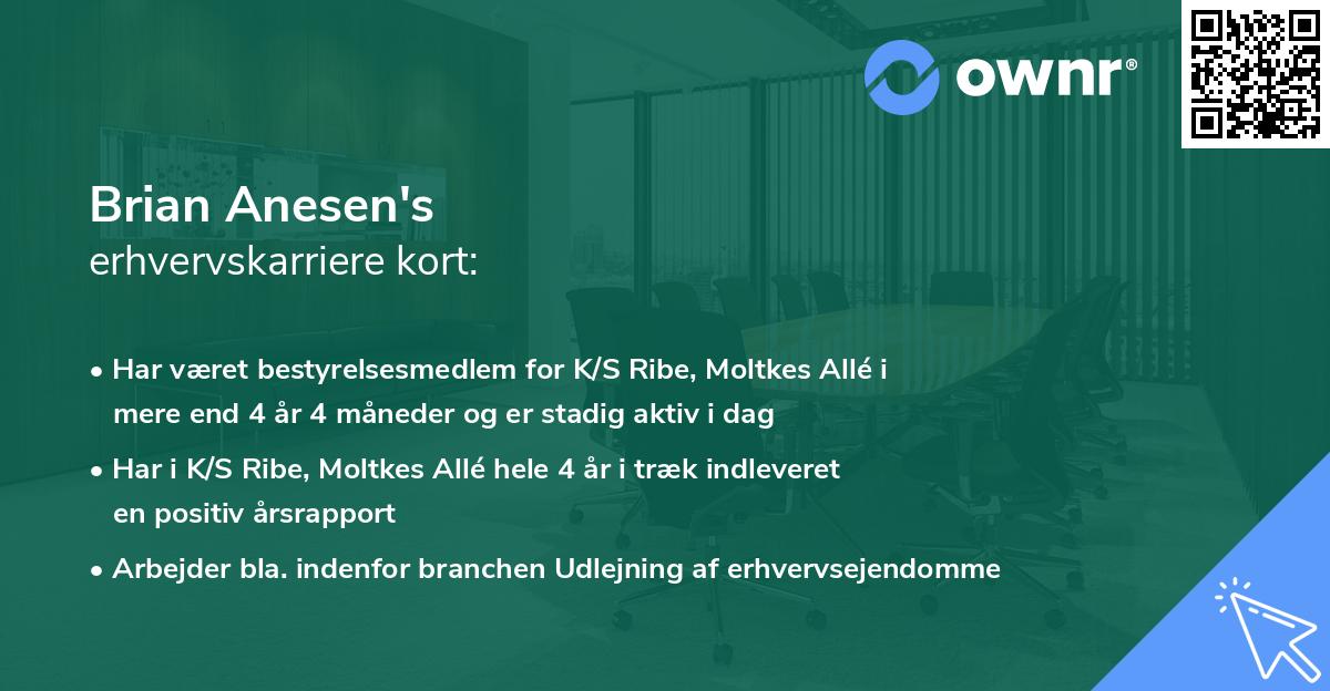 Brian Anesen's erhvervskarriere kort