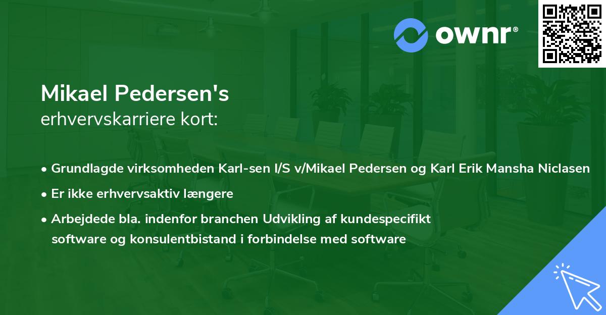 Mikael Pedersen's erhvervskarriere kort