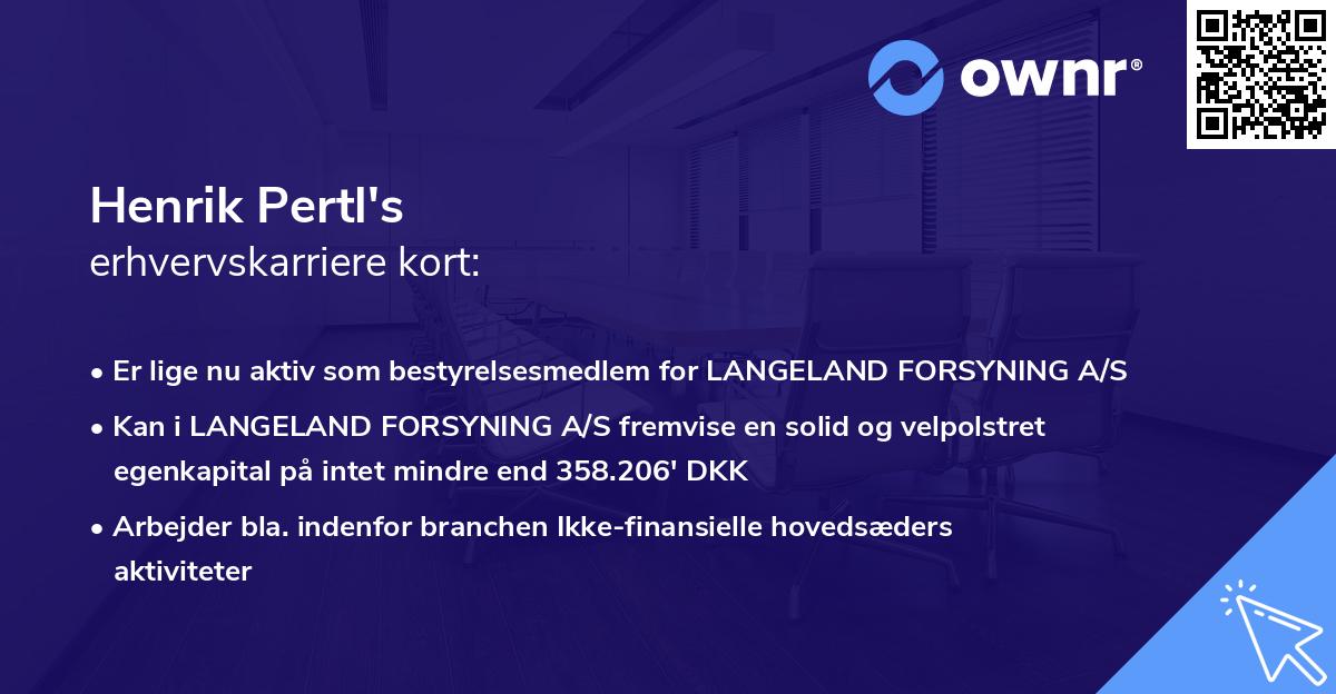Henrik Pertl's erhvervskarriere kort