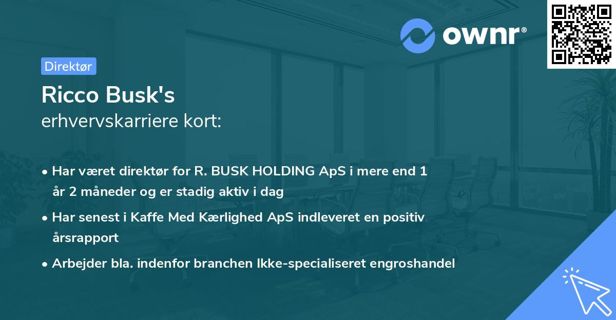 Ricco Busk's erhvervskarriere kort