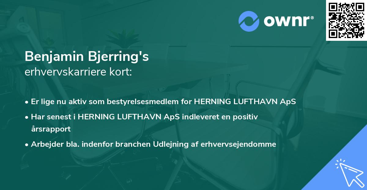 Benjamin Bjerring's erhvervskarriere kort