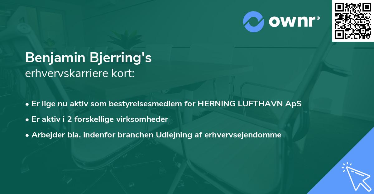 Benjamin Bjerring's erhvervskarriere kort