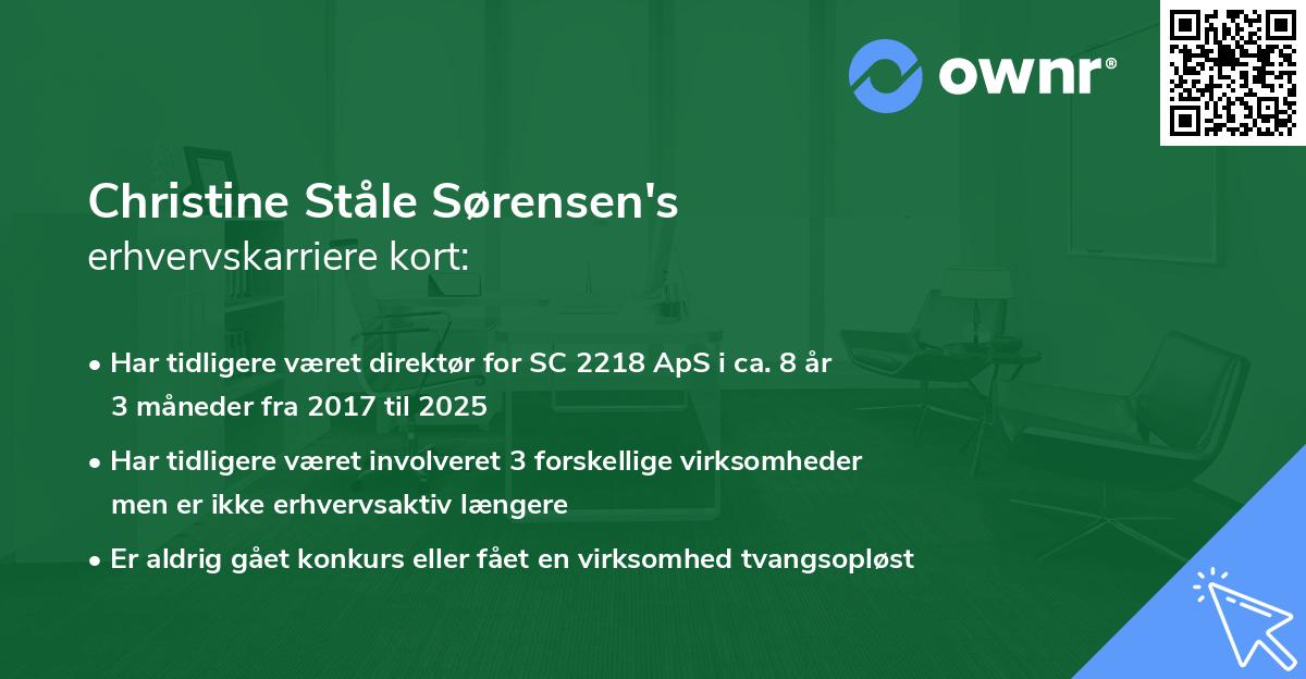 Christine Ståle Sørensen's erhvervskarriere kort