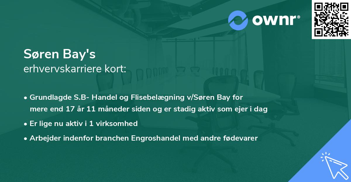 Søren Bay's erhvervskarriere kort