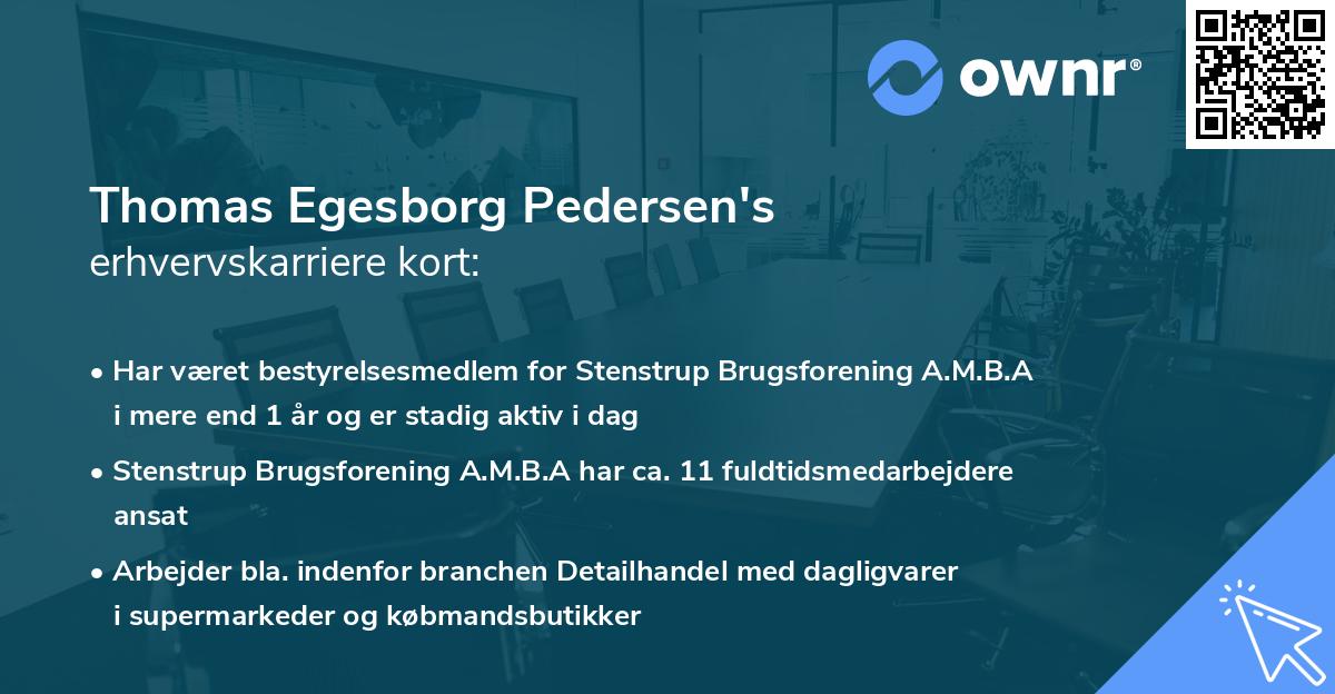 Thomas Egesborg Pedersen's erhvervskarriere kort
